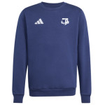 Dětská mikina adidas Entrada 26 SK Rapid Psáry