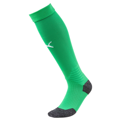Stulpny Puma LIGA