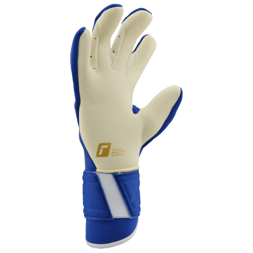 Brankářské rukavice Reusch Arrow Gold X