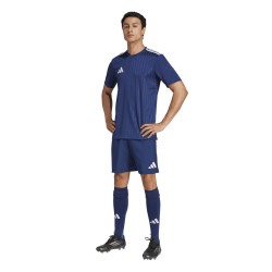 Dres adidas Campeon 25