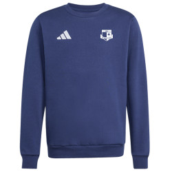 Dětská mikina adidas Entrada 26 SK Rapid Psáry