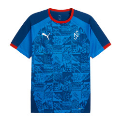 Tréninkový dres Puma Neymar JR Playmaker