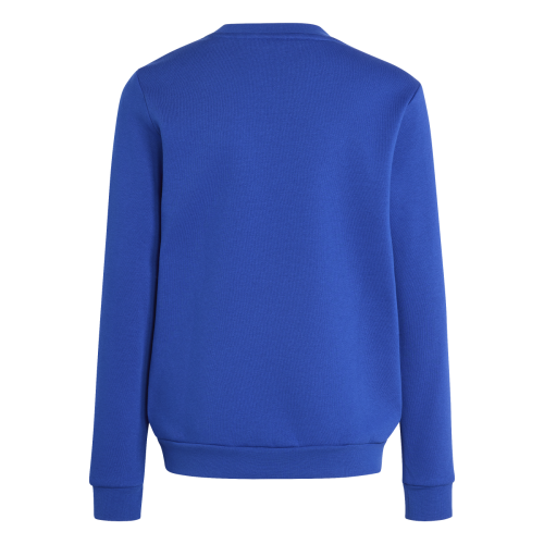 Dětská mikina adidas Entrada 26 Sweat Top