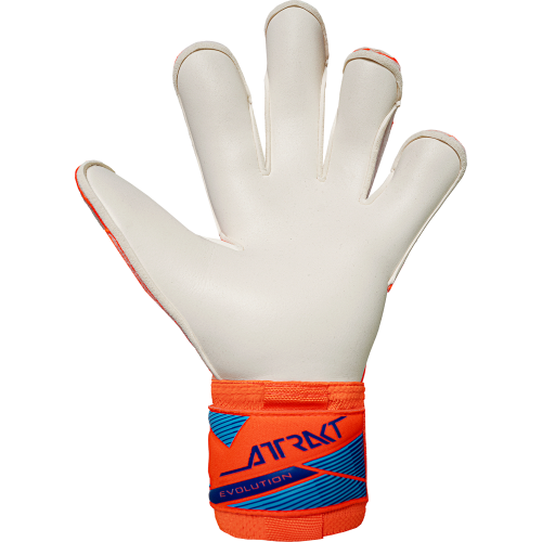 Brankářské rukavice Reusch Attrakt Gold X Evolution