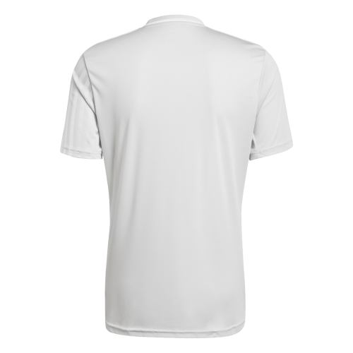 Dres adidas Campeon 25