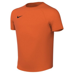 Dětský dres Nike Park VIII krátký rukáv