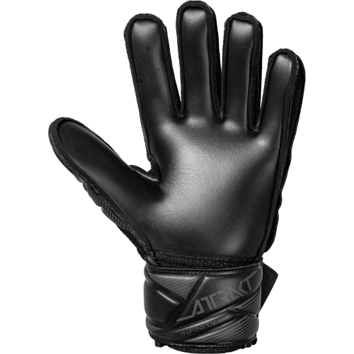 Dětské brankářské rukavice Reusch Attrakt Infinity