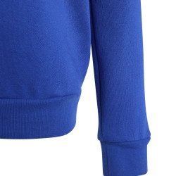 Dětská mikina adidas Entrada 26 Sweat Top