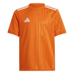 Dětský dres adidas Campeon 25