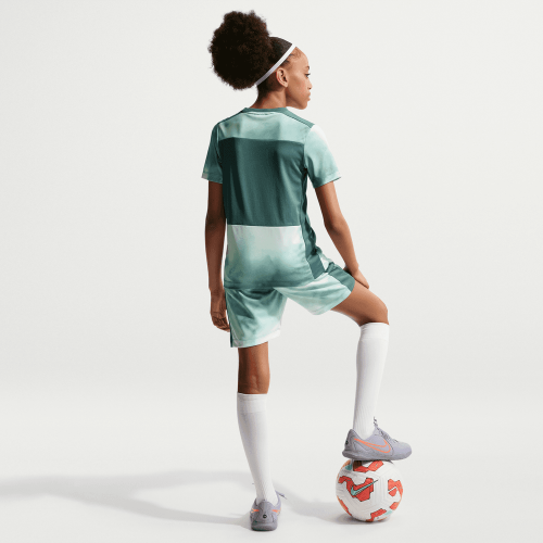 Dětský tréninkový dres Nike Academy+