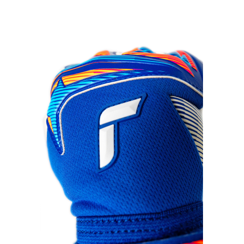 Brankářské rukavice Reusch Attrakt Gold X NC