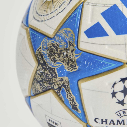 Fotbalový míč adidas UCL Pro