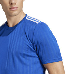 Dres adidas Campeon 25