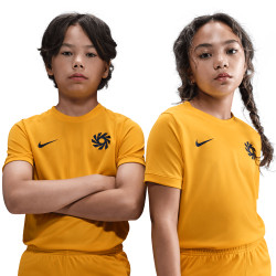 Dětský tréninkový dres Nike Erling Haaland Academy 25