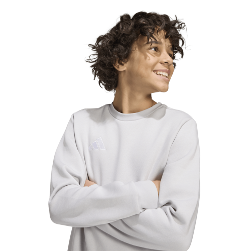 Dětská mikina adidas Entrada 26 Sweat Top