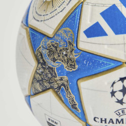 Fotbalový míč adidas UCL Pro