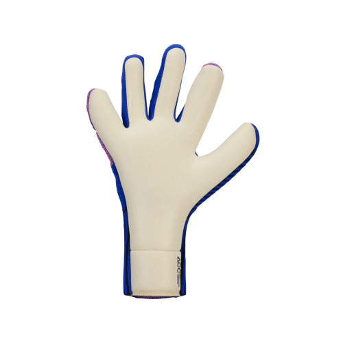 Brankářské rukavice Nike Phantom Dynamic Fit