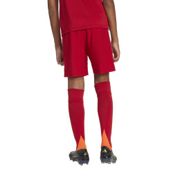 Dětské trenky adidas Tastigo 25