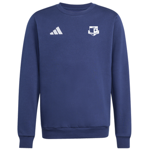 Dětská mikina adidas Entrada 26 SK Rapid Psáry