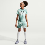 Dětský tréninkový dres Nike Academy+
