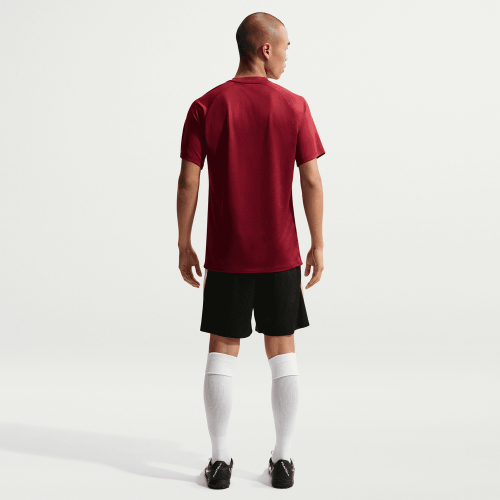 Dres Nike Park VIII krátký rukáv