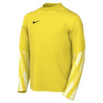 Dětský brankářský dres Nike Park V