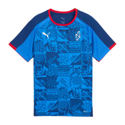 Dětský tréninkový dres Puma Neymar JR Playmaker