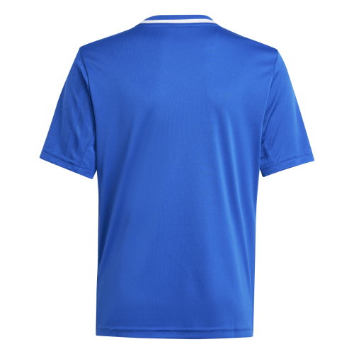 Dětský dres adidas Campeon 25