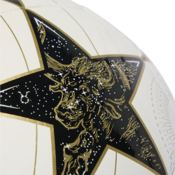 Fotbalový míč adidas UCL Real Madrid Club