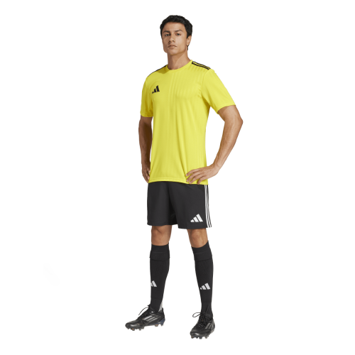 Dres adidas Campeon 25