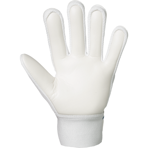 Dětské brankářské rukavice Reusch Attrakt Starter Solid