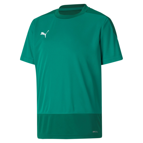 Dětský tréninkový dres Puma teamGOAL 23