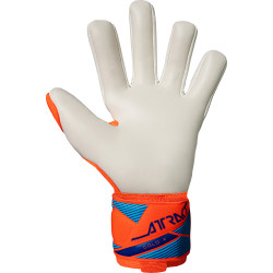 Brankářské rukavice Reusch Attrakt Gold X NC