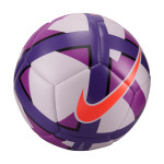 Futsalový míč Nike Maestro