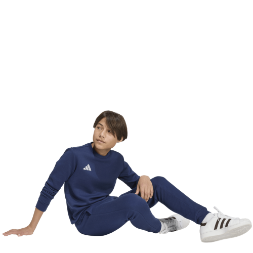 Dětská mikina adidas Entrada 26 Sweat Top