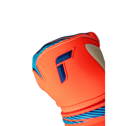 Brankářské rukavice Reusch Attrakt Gold X NC
