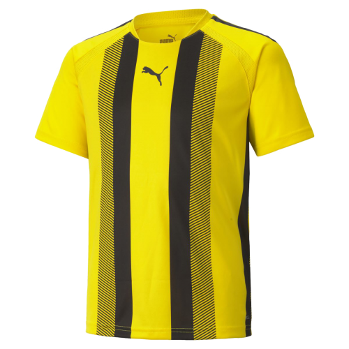 Dětský dres Puma teamLIGA Striped