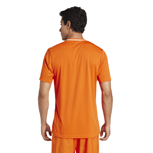 Dres adidas Campeon 25