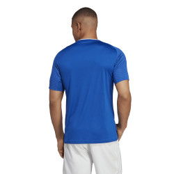 Dres adidas Campeon 23