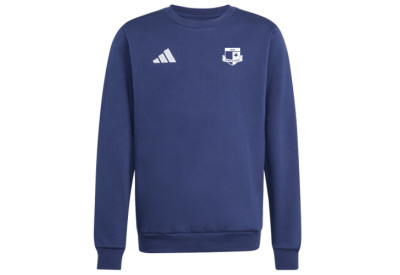 Mikina adidas Entrada 26 SK Rapid Psáry