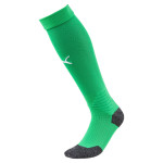 Stulpny Puma LIGA