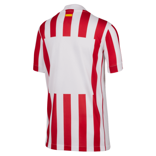 Dětský dres Nike Atlético Madrid domácí 2025/2026