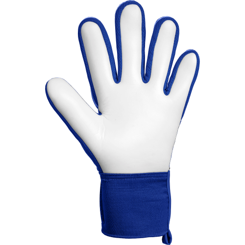 Brankářské rukavice Reusch Attrakt Starter Solid