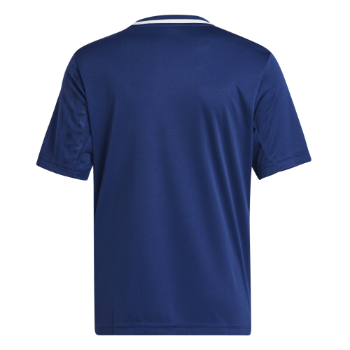 Dětský dres adidas Campeon 25