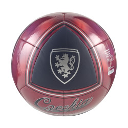 Fotbalový míč Puma Česko CULTURE