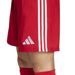 Trenky adidas Tastigo 25
